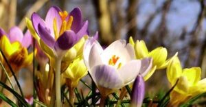 КООРДИНАЦІЙНИЙ ПЛАН виховної роботи на період весняних канікул з 26.03.2018 по 01.04.2018 року