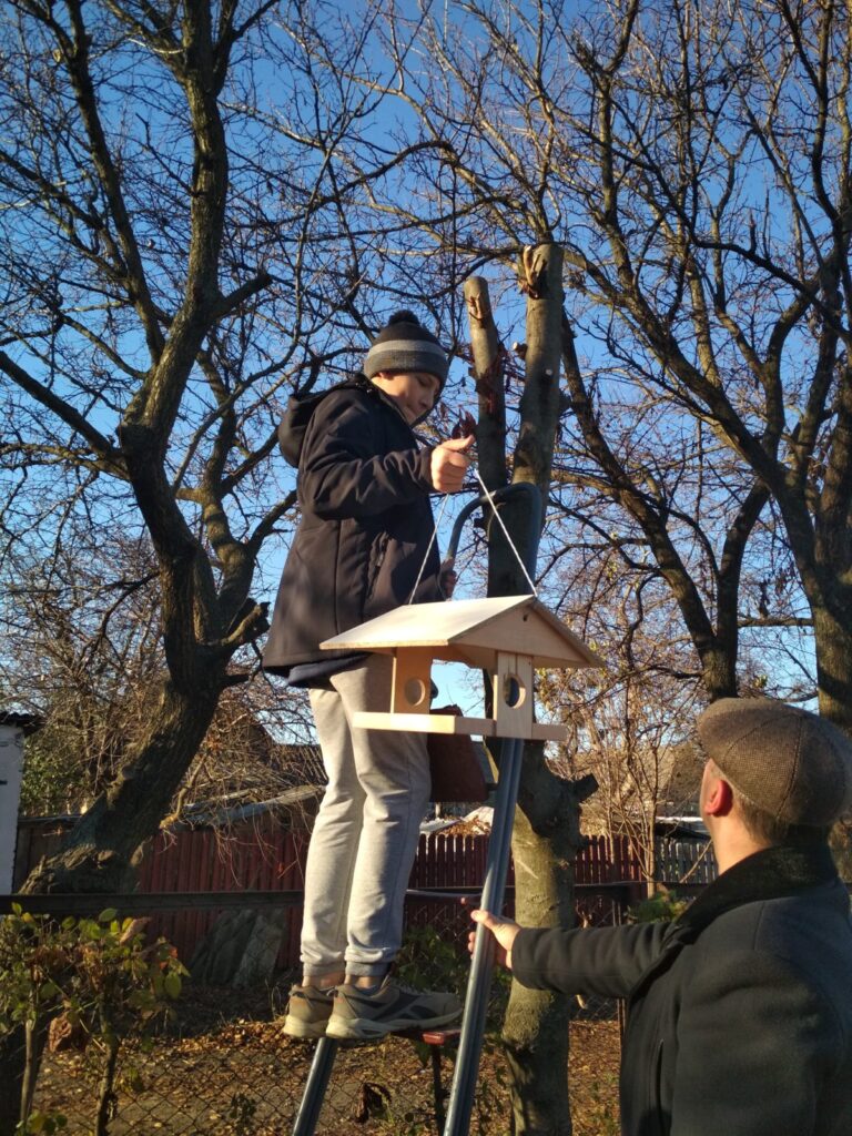 Приваба для птахів - годівниці